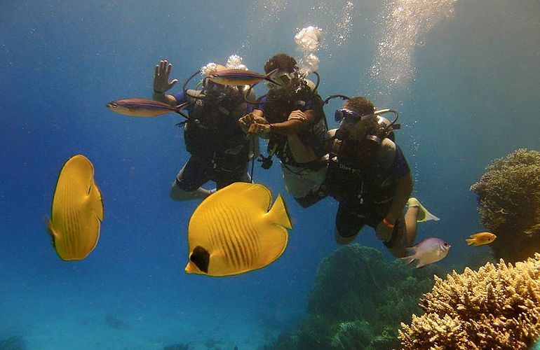 PADI Scuba Diver Kurs in Sahl Hasheesh - Schnuppertauchkurs 1 Tag