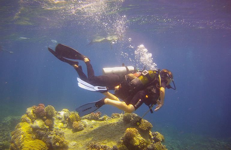 PADI Scuba Diver Kurs in Sahl Hasheesh - Schnuppertauchkurs 1 Tag