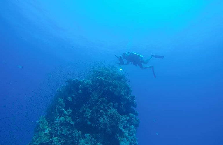 Tauchausflüge für Fortgeschrittene und Anfänger ab Sahl Hasheesh 