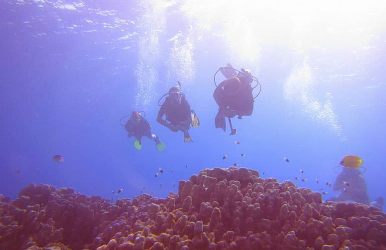Fun Diving Sahl Hasheesh- Ganztägige Tauchfahrt mit 2 Tauchgängen
