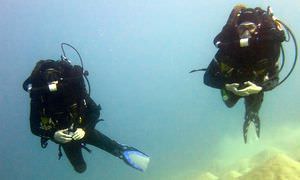 Auffrischungskurs: PADI Scuba Review Programm in Sahl Hasheesh