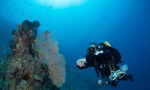 PADI Advanced Open Water Diver, Tauchkurs für Fortgeschrittene in Sahl Hasheesh