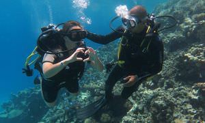 PADI Open Water Diver, der Einsteiger Tauchkurs Sahl Hasheesh